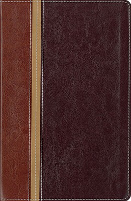 NIV, The Message, Parallel Study Bible, Personal Size, Imitation Leather, Brown/Red: Updated Numbered Edition