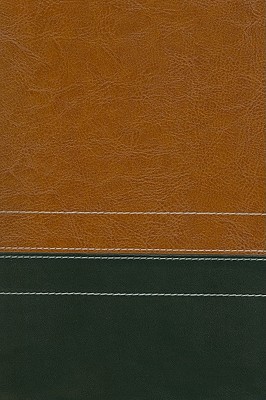 NIV Giant Print Compact Bible, Italian Duo-Tone , Sierra / Black