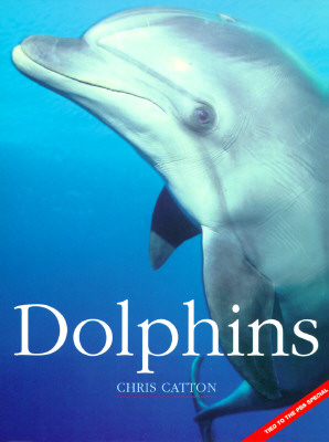 Dolphins