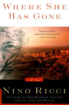 Where She Has Gone: A Novel