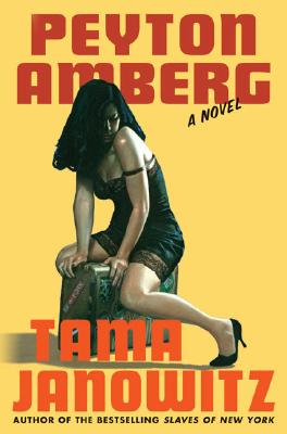 Peyton Amberg. A Novel