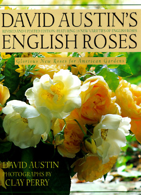 Image for David Austin s English Roses