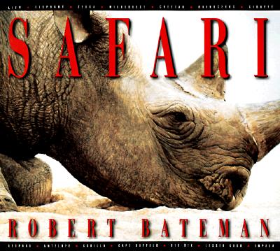 Safari
