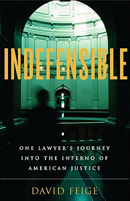 Image for Indefensible: One Lawyer's Journey into the Inferno of American Justice