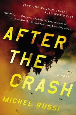Image for After the Crash: A Novel