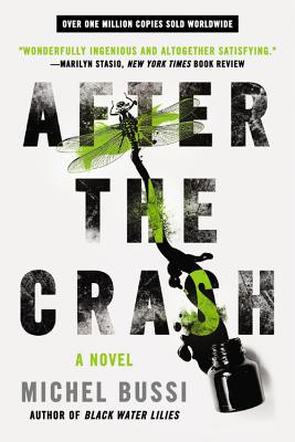 After The Crash: A Novel