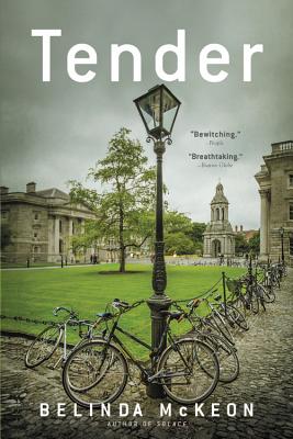 Image for Tender: A Novel Tender: A Novel
