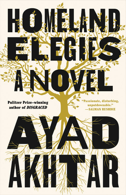 Image for Homeland Elegies: A Novel
