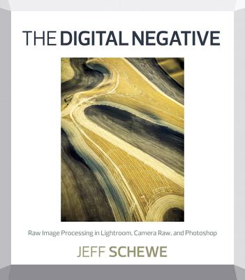 Digital Negative: Raw Image Processing in Lightroom, Camera Raw, and Photoshop