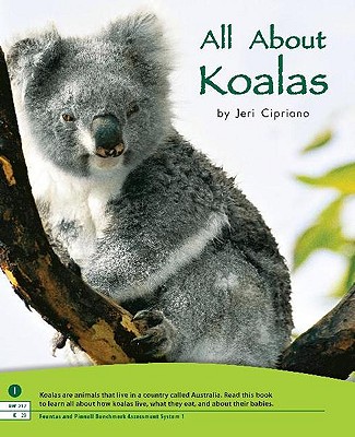 Image for ALL ABOUT KOALAS ALL ABOUT KOALAS