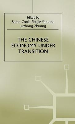 The Chinese Economy under Transition (Studies on the Chinese Economy)