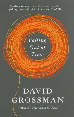 Falling Out of Time (Vintage International)