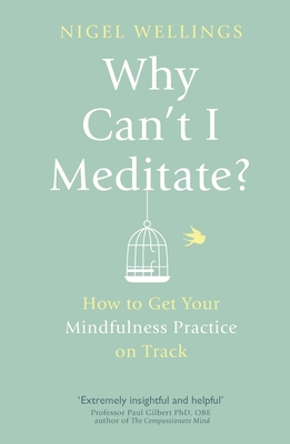 Why Can't I Meditate: how to get your mindfulness practice on track