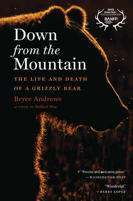 Image for Down from the Mountain: The Life and Death of a Grizzly Bear