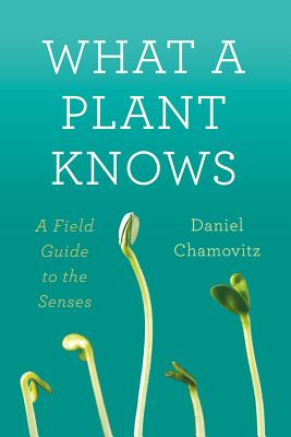 What a Plant Knows A Field Guide to the Senses