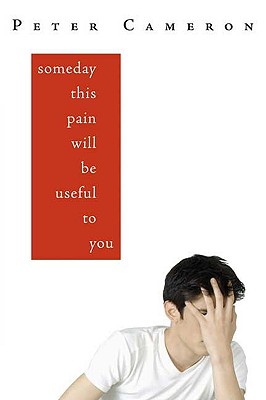 Someday This Pain Will Be Useful to You: A Novel