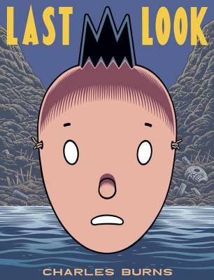 Image for Last Look (Pantheon Graphic Novels)