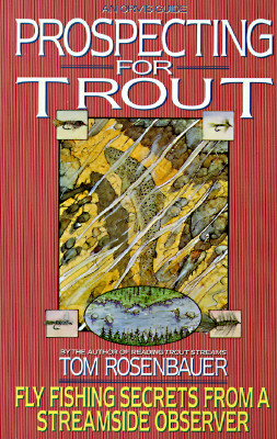Prospecting for Trout: Fly Fishing Secrets from a Streamside Observer