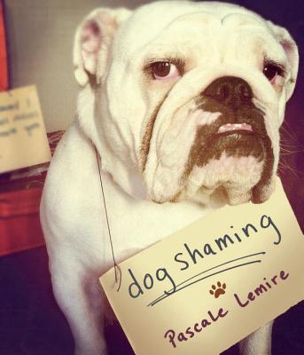 Image for DOG SHAMING