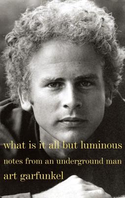 Image for What Is It All but Luminous: Notes from an Underground Man