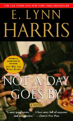 Not a Day Goes By: A Novel