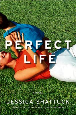 Image for Perfect Life: A Novel Perfect Life: A Novel