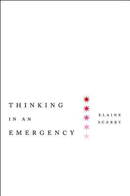 Thinking in an Emergency (Norton Global Ethics Series)