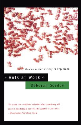 Ants at Work: How an Insect Society is Organized