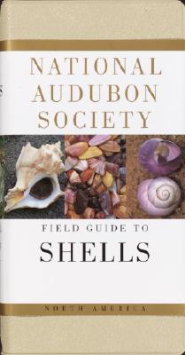 National Audubon Society Field Guide to North American Seashells (National Audubon Society Field Guides)