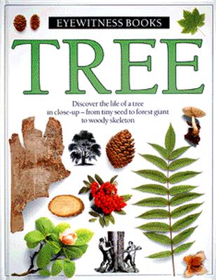 Image for Eyewitness Books Tree