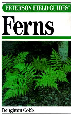 Image for A Field Guide to Ferns and Their Related Families Northeastern and Central North America With a Section on Species Also Found in British Isle and Western Europe (Peterson Field Guides)