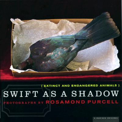 Swift As a Shadow: Extinct and Endangered Animals
