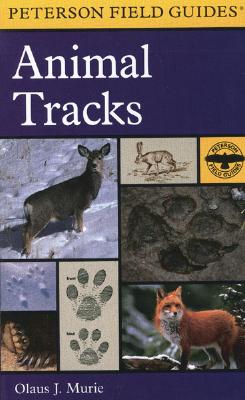 A Field Guide to Animal Tracks (Peterson Field Guides)