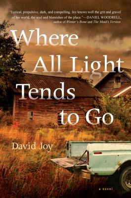 Image for Where the Light Tends to Go A Novel