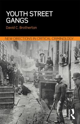 Youth Street Gangs: A critical appraisal (New Directions in Critical Criminology)