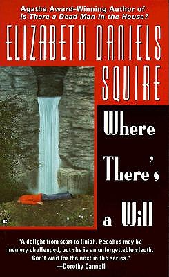 Image for Where There's a Will