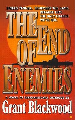 The End of Enemies (Briggs Tanner Novels)