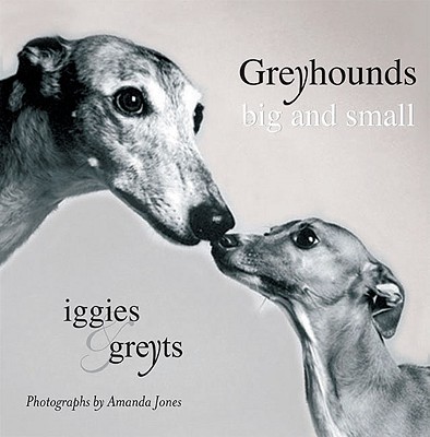 Greyhounds Big and Small: Iggies and Greyts