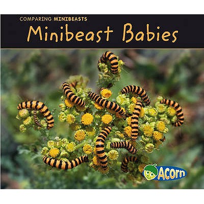 Minibeast Babies (Acorn: Comparing Minibeasts)