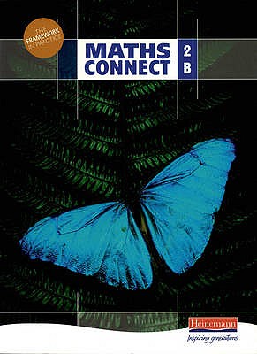 Maths Connect: Pupils Book Level 2 (Maths Connect)