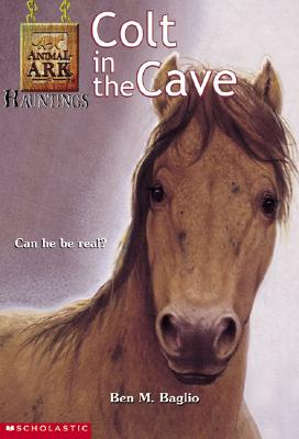 Image for Colt in the Cave (Animal Ark Hauntings, #4)