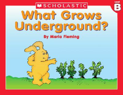 Image for Level B - What Grows Underground (Little Leveled Readers: Level B) Level B - What Grows Underground (Little Leveled Readers: Level B)