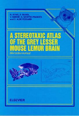A Stereotaxic Atlas of the Grey Lesser Mouse Lemur Brain (Microcebus Murinus)