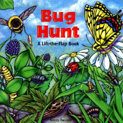 Bug Hunt (Lift-the-flap Book)