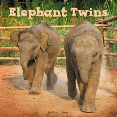 Image for Elephant Twins (Penguin Core Concepts) Elephant Twins (Penguin Core Concepts)