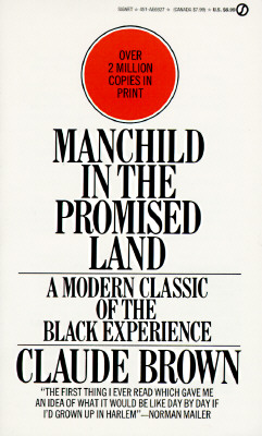 Manchild in the Promised Land: A Modern Classic of the Black Experience