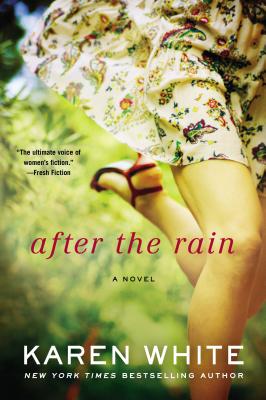 Image for After the Rain (A Falling Home Novel)