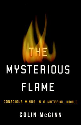 Mysterious Flame: Conscious Minds in a Material World