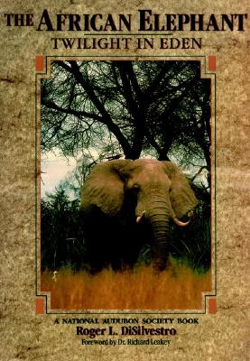Image for The African Elephant Twilight In Eden