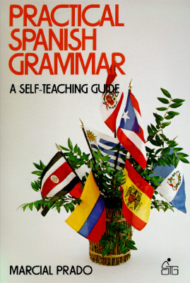 Image for Practical Spanish Grammar: A Self-Teaching Guide